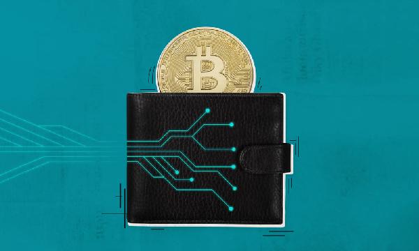 آشنایی با انواع کیف پول ارز دیجیتال