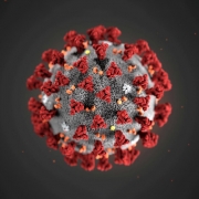 وقتی کرونا باعث رونق بازار تبلت ها می شود