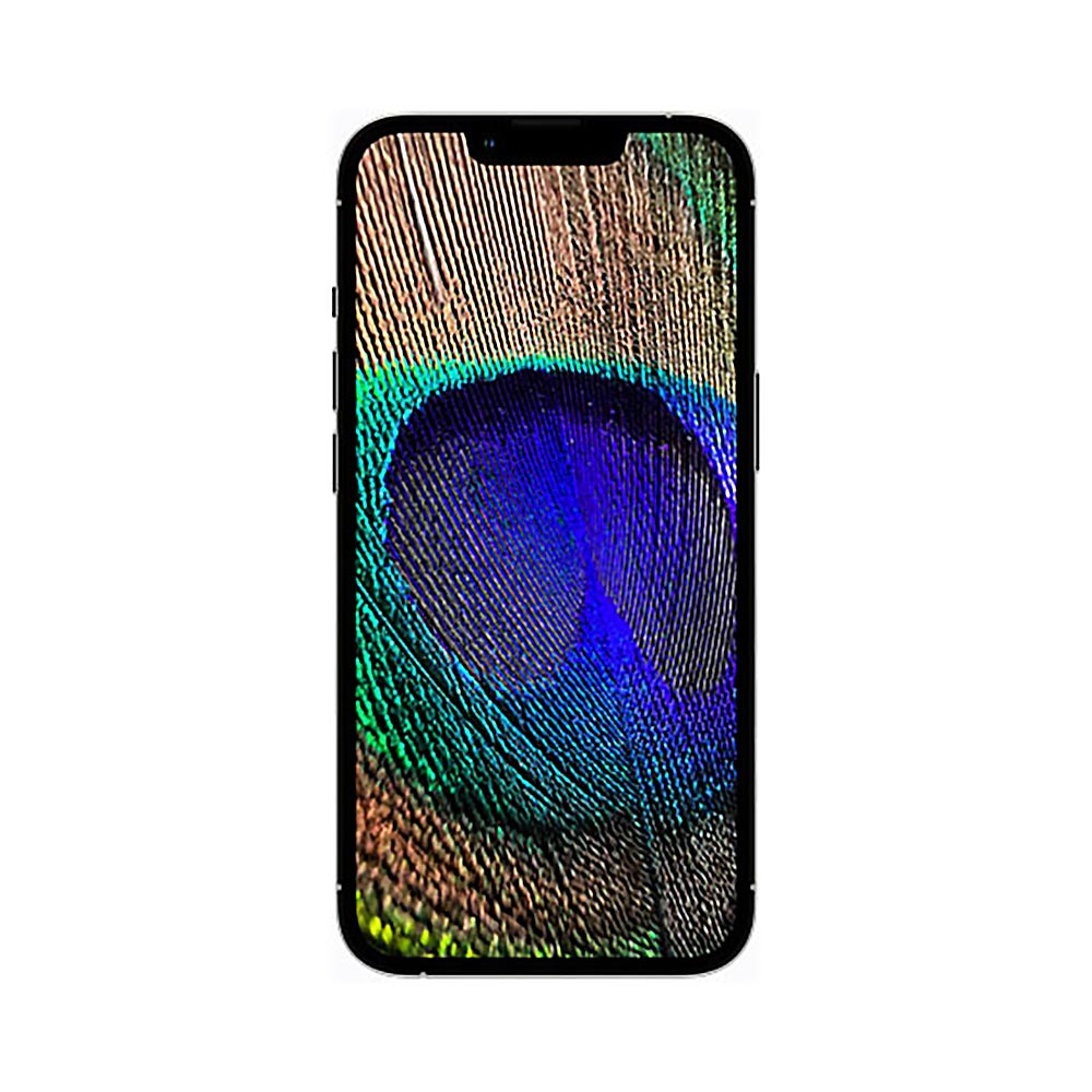 Apple iPhone 13 Pro SINGLE SIM Smartphone - 1TB