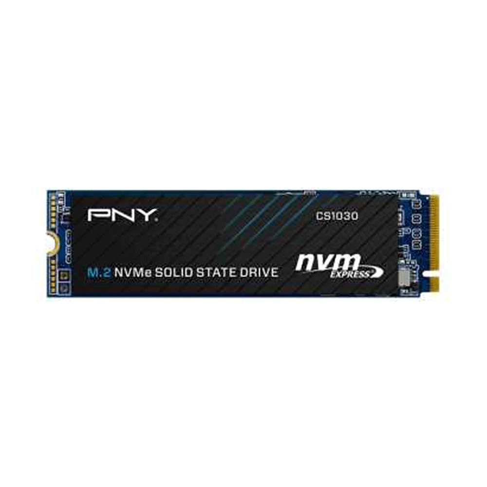 SSD   256   CS1030  M.2  PNY