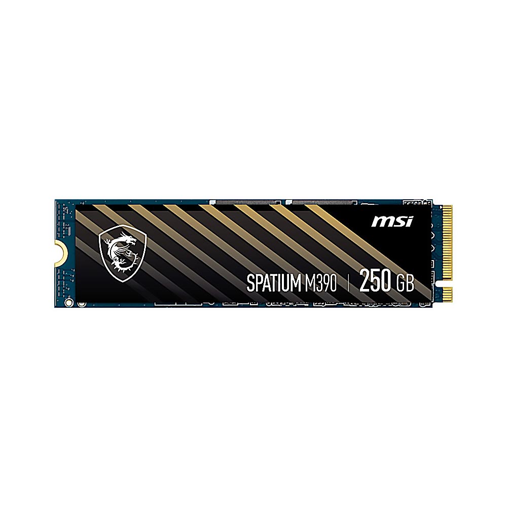 MSI SPATIUM M390 NVMe M.2 250GB Internal SSD