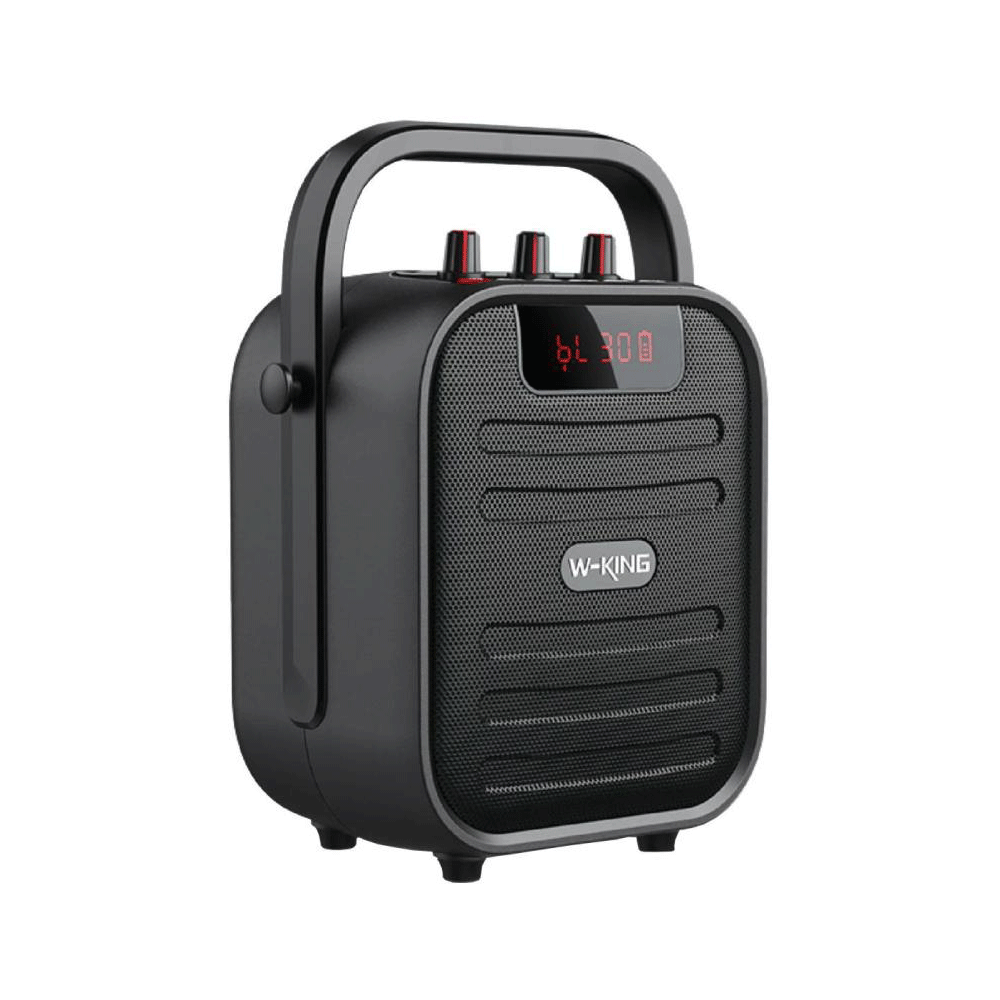 W-King T5 Bluetooth Speaker 20W