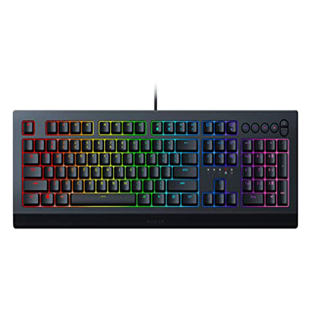 Razer CYNOSA V2 Gaming Keyboard