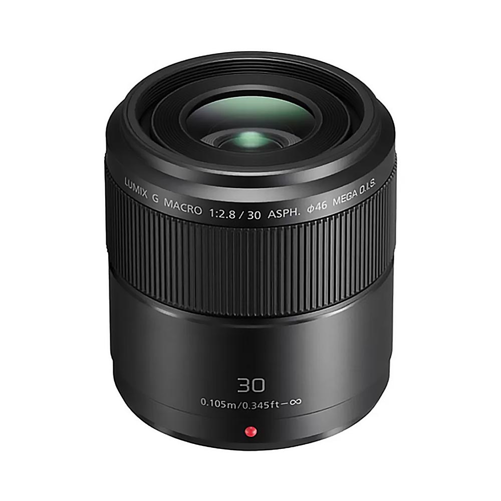 Panasonic Lumix G Macro HS 30mm f/2.8