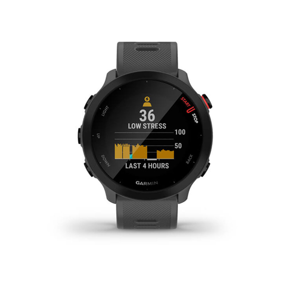 Garmin Forerunner 55 Monterra Grey 010-02562-13