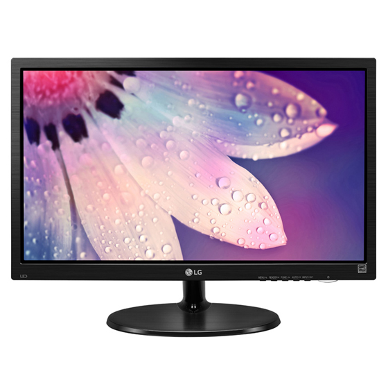 LG 19M38A LED Monitor - 18.5 inch