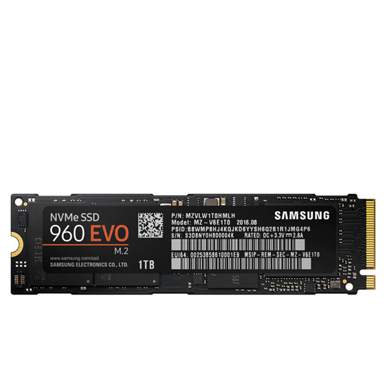 SAMSUNG 960 Evo Internal SSD Drive - 1TB