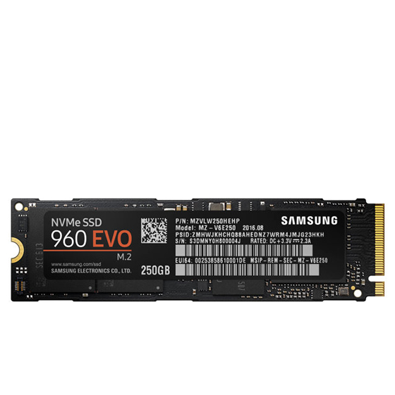 SAMSUNG 960 Evo Internal SSD Drive - 250GB