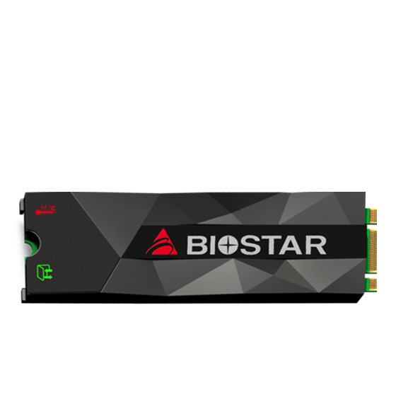 Biostar M500 Series M.2 Internal SSD Drive - 128GB