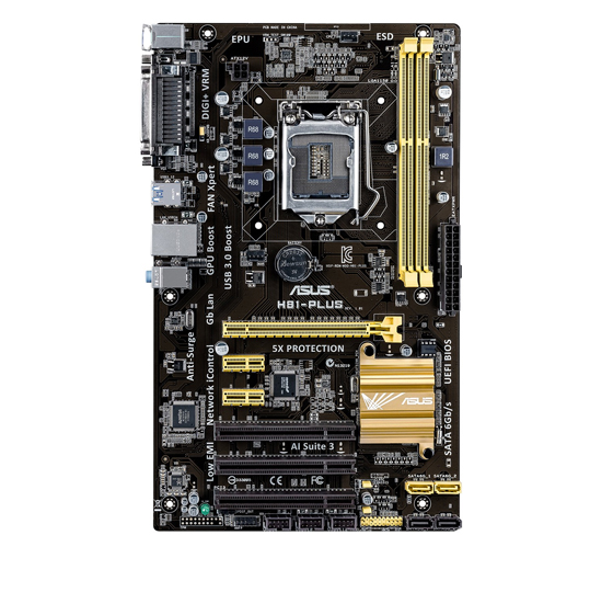 ASUS H81-PLUS Motherboard