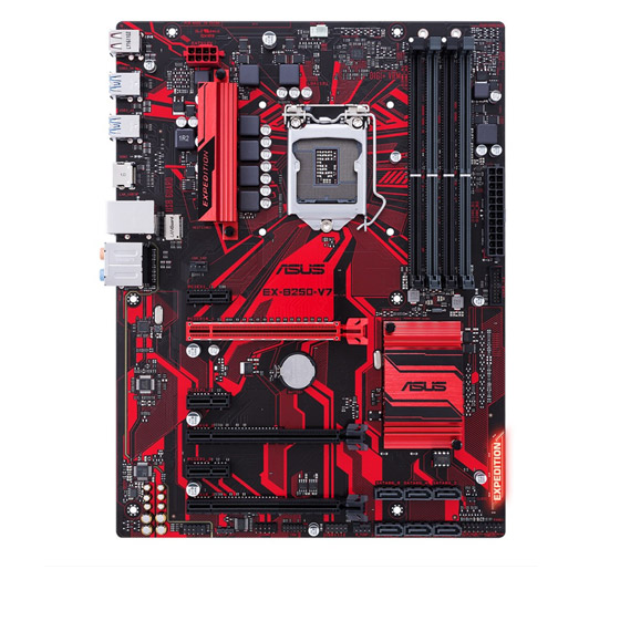 ASUS EX-B250-V7 Motherboard