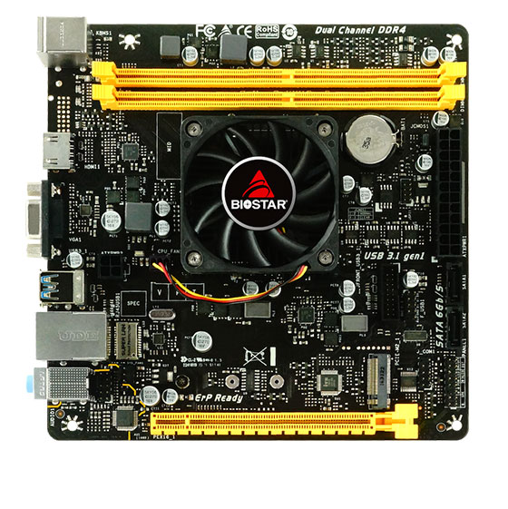 Biostar A10N-8800E V6.1 Motherboard