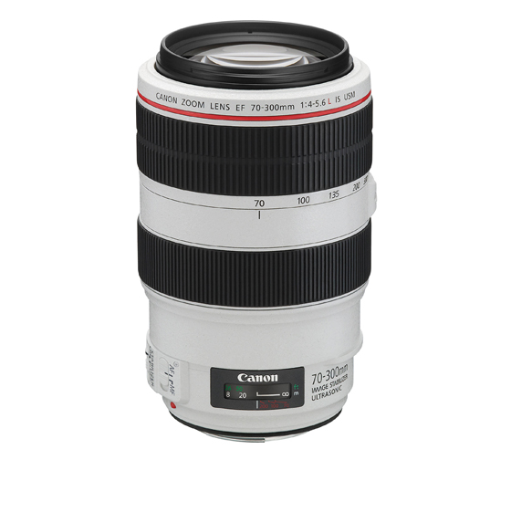 Canon EF 70-300mm f/4-5.6L IS USM Lens