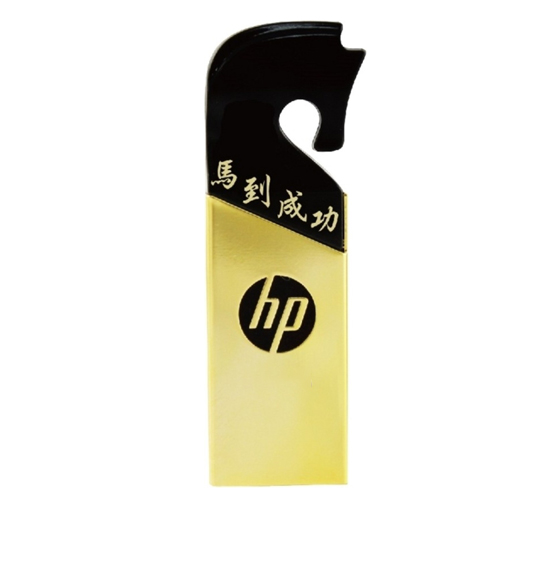 HP V219G Flash Memory - 16GB