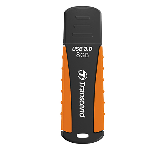 Transcend JetFlash 810 Flash Memory - 8GB