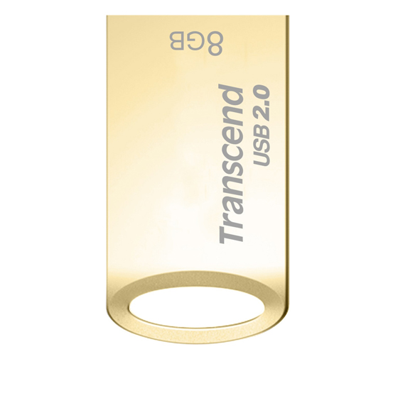Transcend JetFlash 510G Flash Memory - 8GB