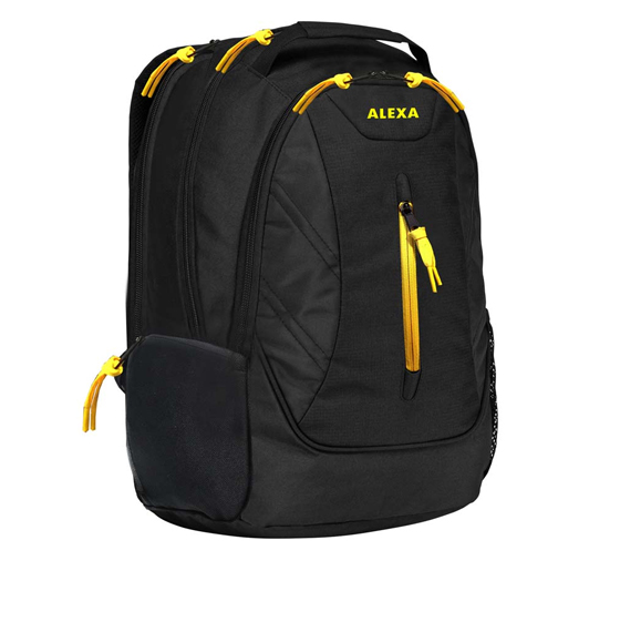 Alexa ALX812BLY Backpack For 15.6 To 16.4 Inch Laptop