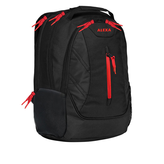 Alexa ALX812BLR Backpack For 15.6 To 16.4 Inch Laptop