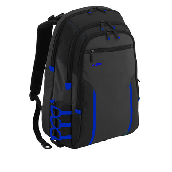 Alexa ALB612B Backpack For 15.6 To 16.4 Inch Laptop