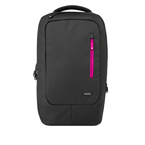 Alexa ALX600GRP Backpack For 15.6 To 16.4 Inch Laptop