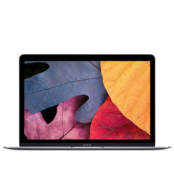 Apple MacBook MMGL2 2016 with Retina Display RAM 8GB 256GB SSD