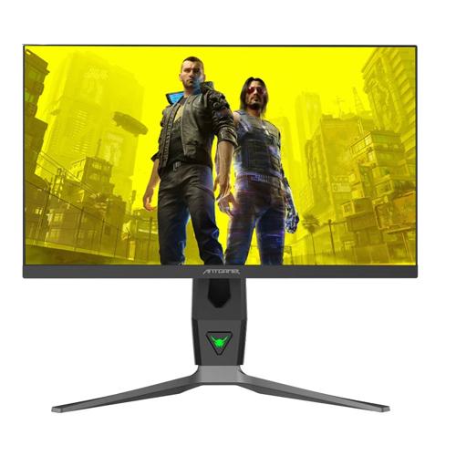 AntGamer ANT25DVF 25inch Monitor