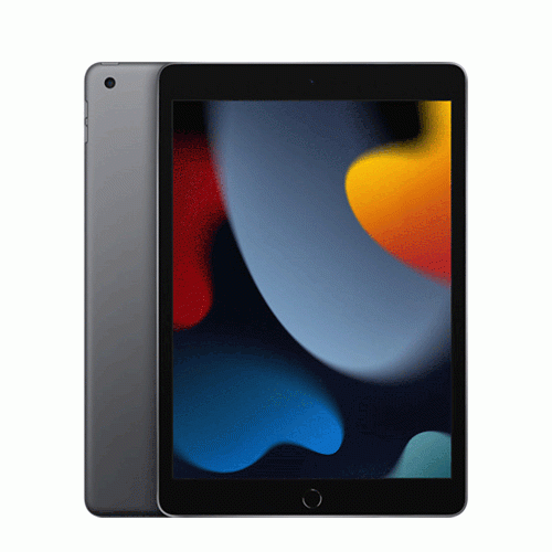 Apple iPad 9th Generation 10.2 Inch 2021 WIFI 64GB Tablet