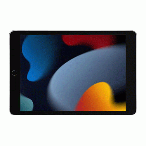 Apple iPad 9th Generation 10.2 Inch 2021 WIFI 64GB Tablet
