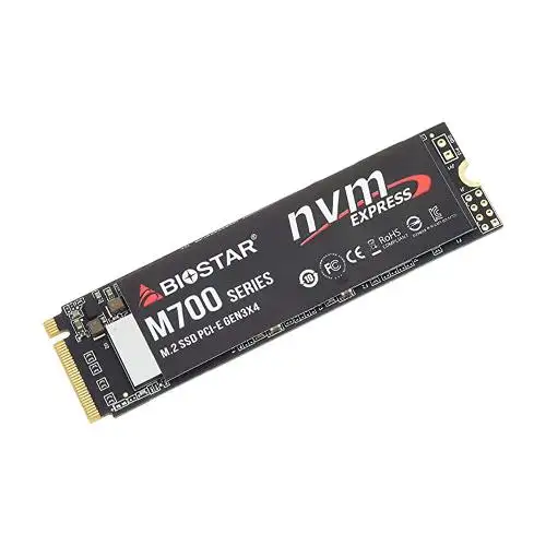 Biostar M700 M.2 Internal SSD Drive - 128GB