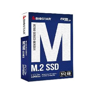 BIOSTAR M760-512GB Internal SSD Drive