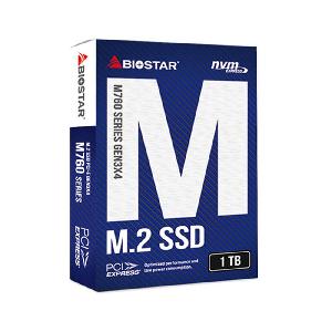 BIOSTAR M760-1TB Internal SSD Drive