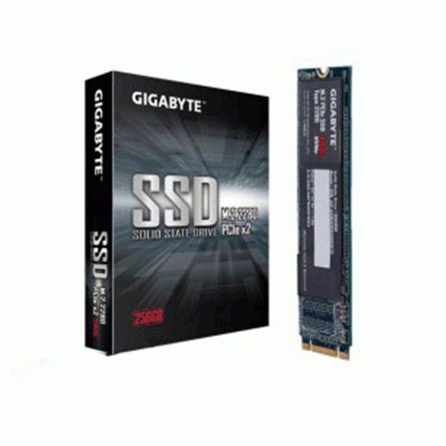 Gigabyte GP-GSM2NE8256GNTD 256GB PCIe Gen3.0 x2 M.2 2280 Internal SSD Drive