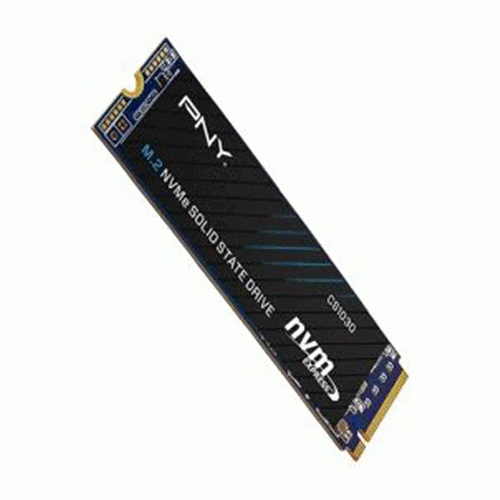 SSD   1T     CS1030  M.2  PNY