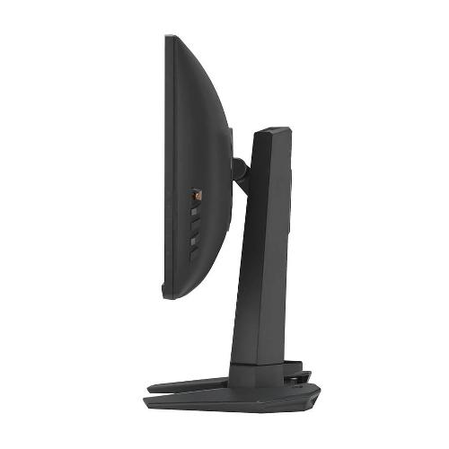 Asus ROG Swift Pro PG248QP 24 Inch Monitor