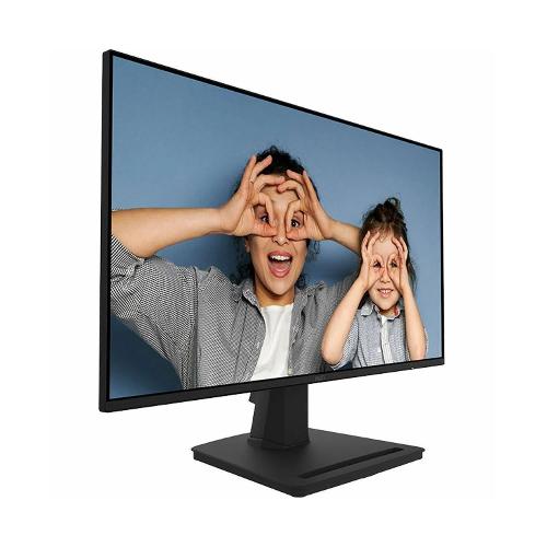 MSI PRO MP252 25 Inch Monitor