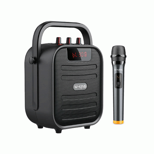 W-King T5 Bluetooth Speaker 20W