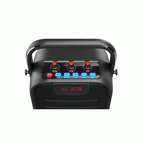 W-King T5 Bluetooth Speaker 20W