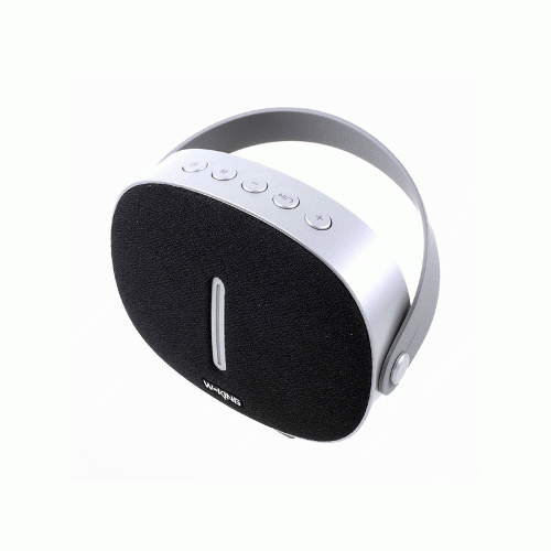 W-King T8 Wireless Speaker 30W