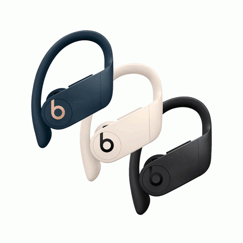 Beats Powerbeats Pro Wireless Headphones