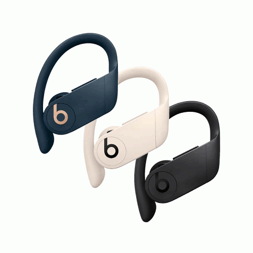 Beats Powerbeats Pro Bluetooth Headphone