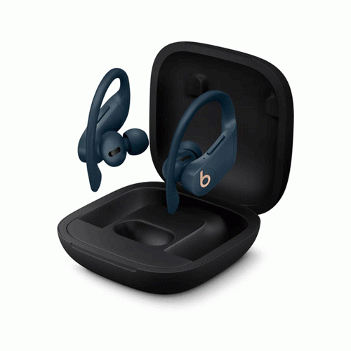 Beats Powerbeats Pro Bluetooth Headphone