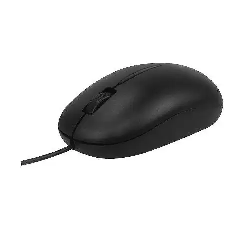 Beyond BM-1275 Mouse