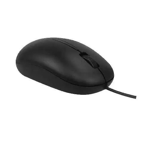 Beyond BM-1275 Mouse