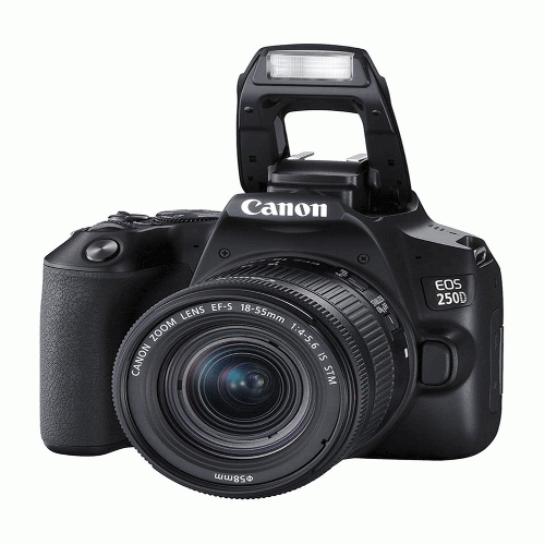 CANON EOS 250D Kit EF-S 18-55 mm f/4-5.6 IS STM