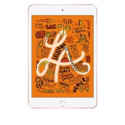 Apple iPad Mini 5 (2019) WiFi Tablet - 256GB