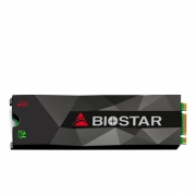 حافظه SSD اینترنال بایوستار مدل M500 ظرفیت 128 گیگابایت Biostar M500 Series M.2 Internal SSD Drive - 128GB