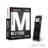 Biostar M700 M.2 Internal SSD Drive - 256GB