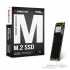 Biostar M700 M.2 Internal SSD Drive - 1TB