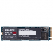 GigaByte GP-GSM2NE8256GNTD M.2 2280 Internal SSD Drive - 256GB