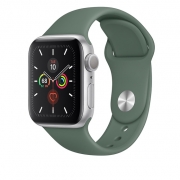 Apple Watch 5 GPS 40mm Silver Aluminum Case With Pine Green Sport Band